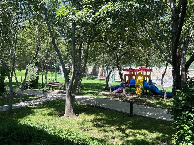 place photo 36
