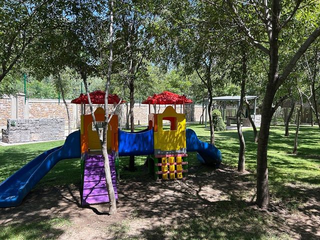 place photo 38