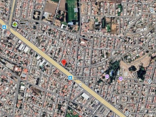 place photo 5