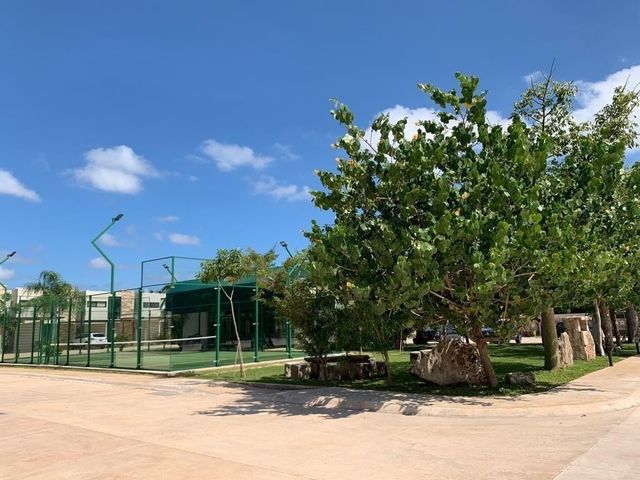 place photo 40