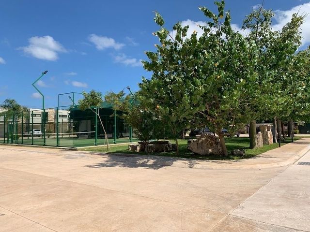 place photo 38