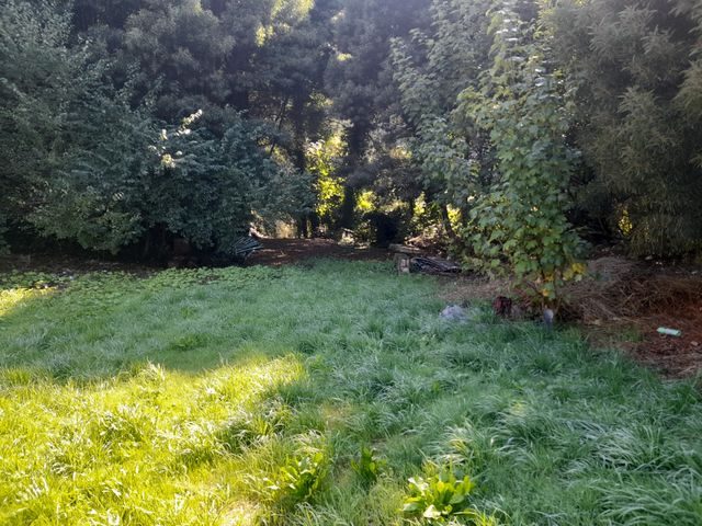 place photo 25