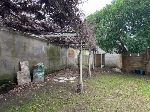 place photo 38