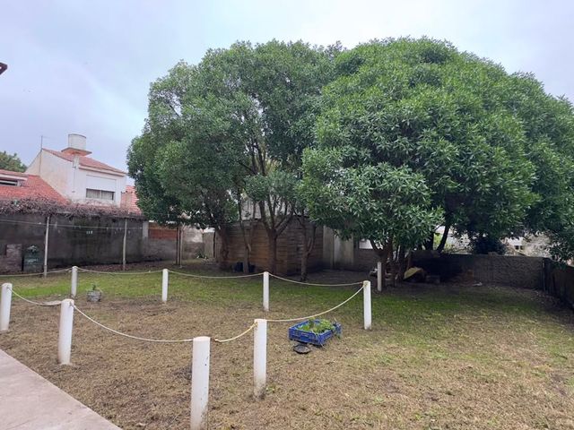 place photo 34