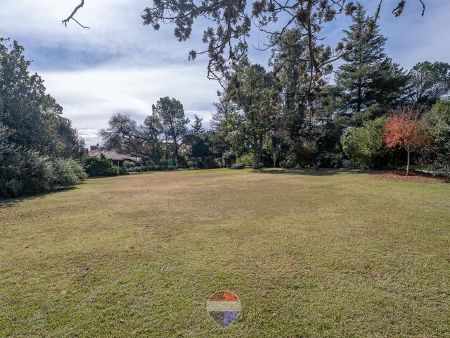 place photo 43