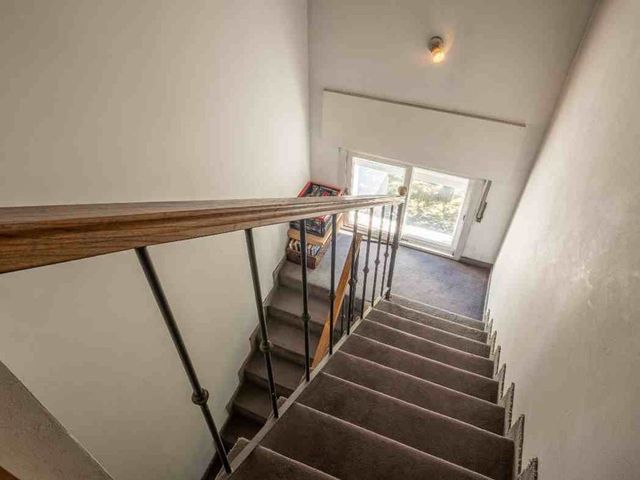place photo 54
