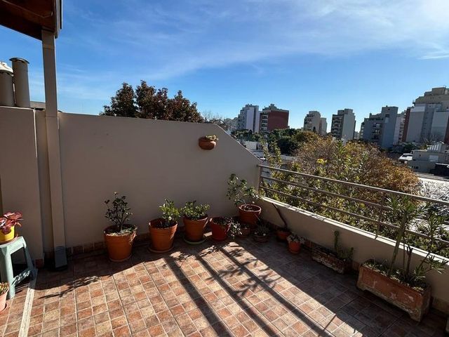 place photo 49