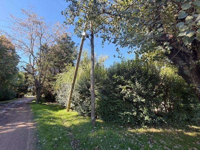 place photo 22