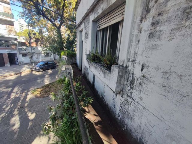 place photo 26