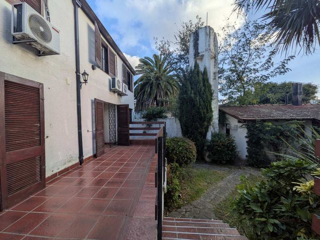 place photo 43