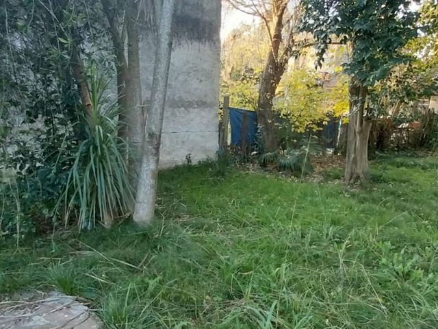 place photo 24