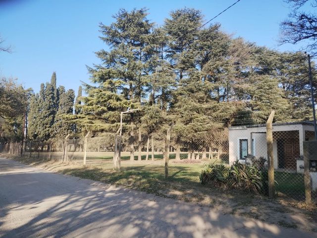 place photo 14