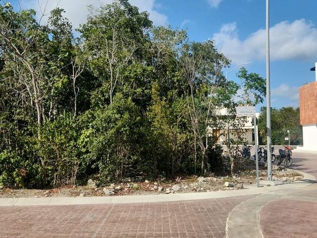 place photo 28