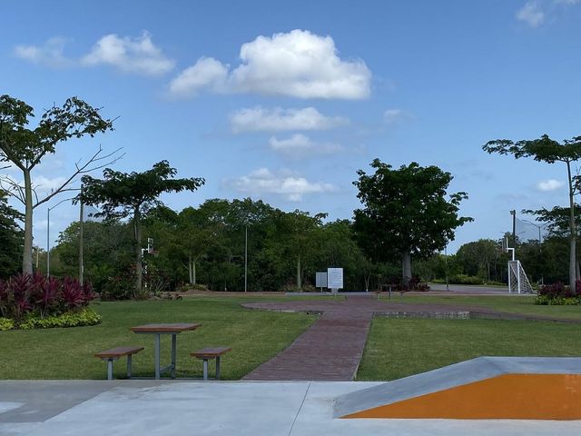place photo 22