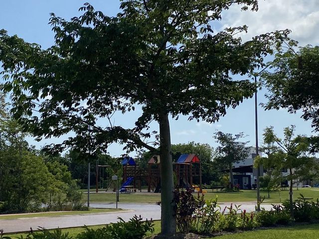 place photo 13