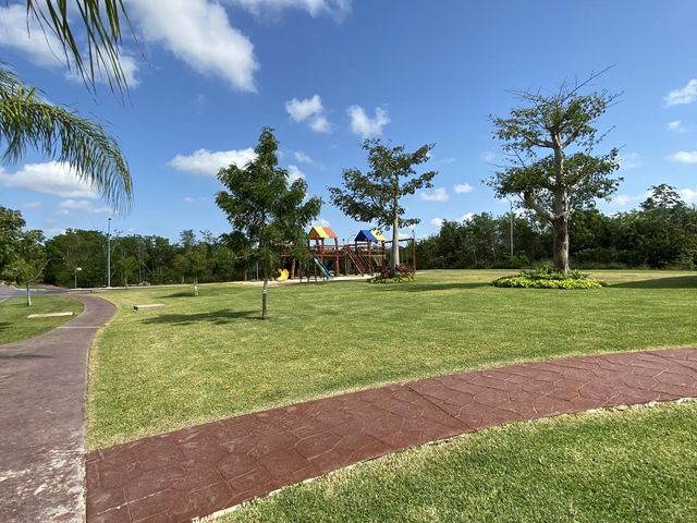 place photo 27