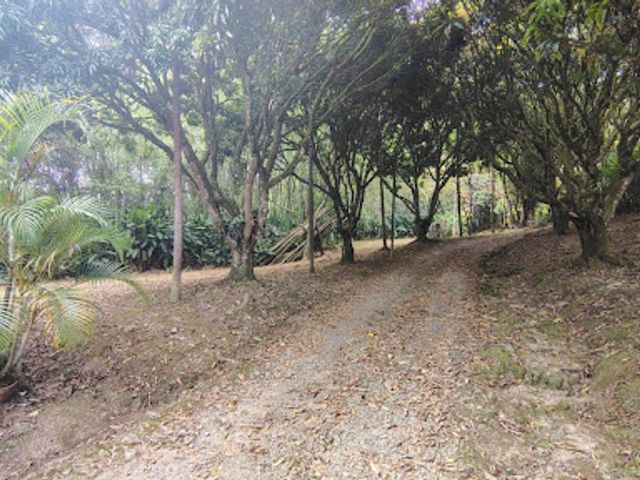 place photo 25