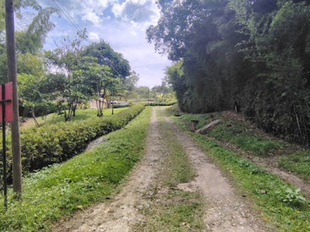 place photo 23