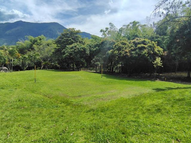 place photo 21
