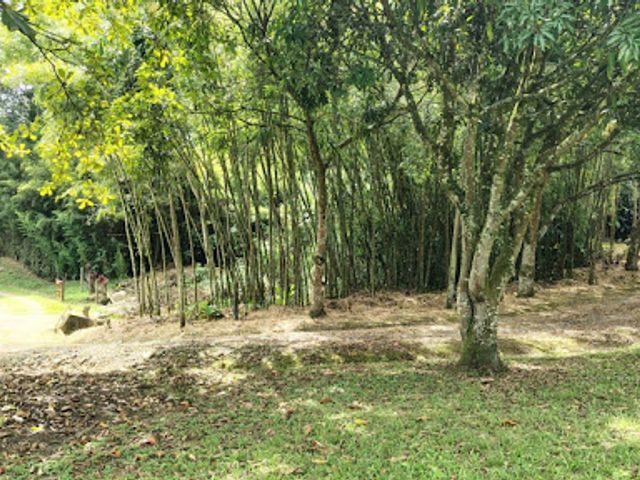 place photo 22