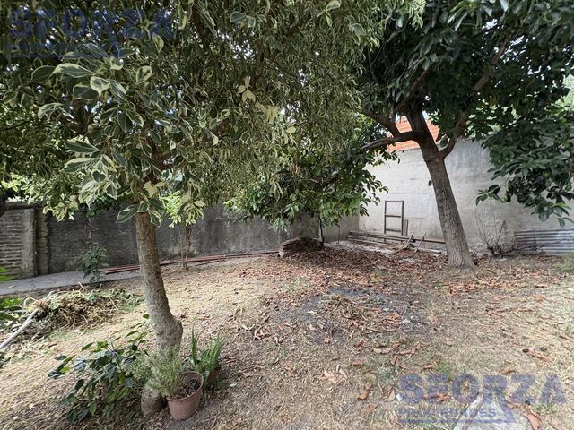 place photo 57