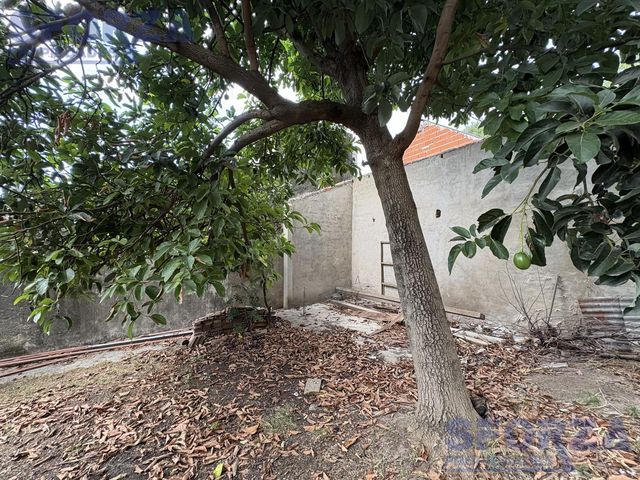place photo 58