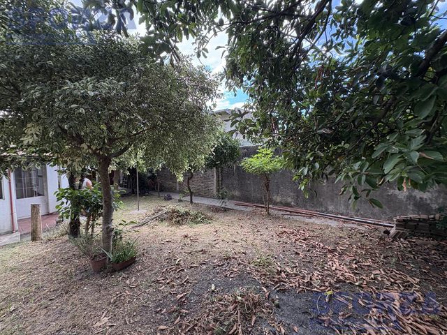 place photo 59