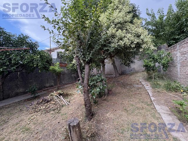 place photo 56