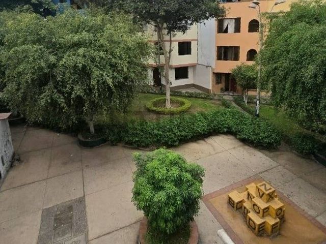 place photo 11