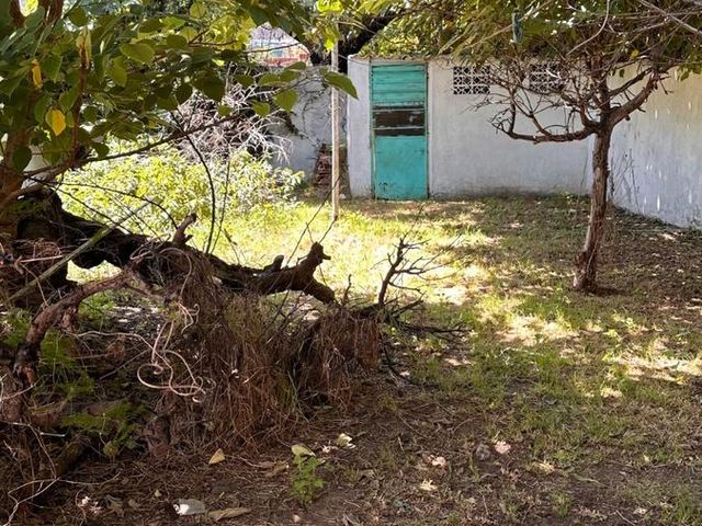 place photo 23
