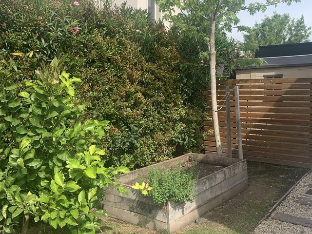 place photo 44