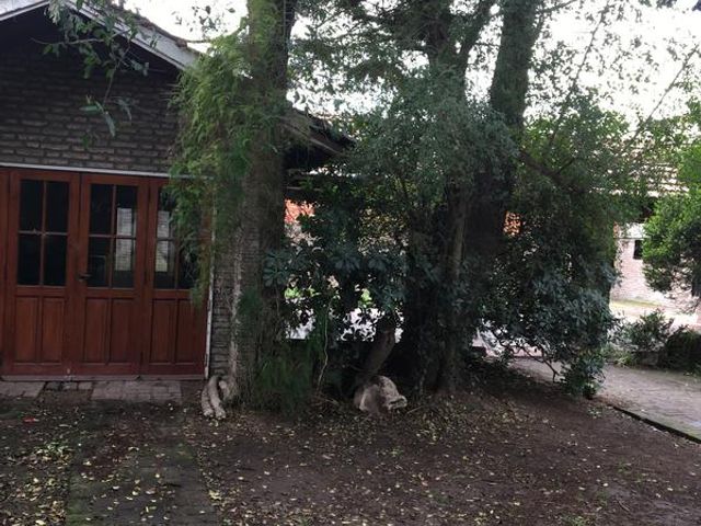 place photo 41