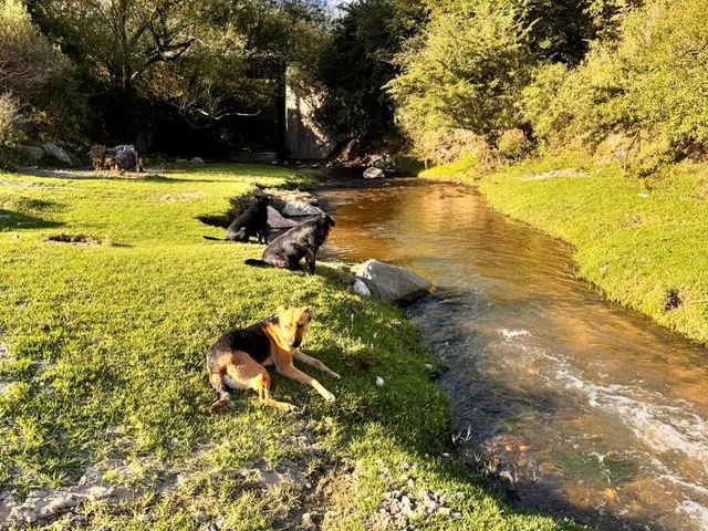 place photo 18