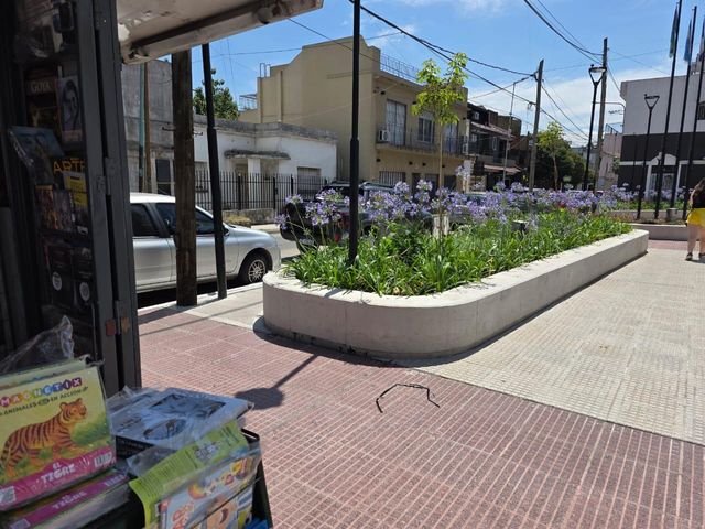 place photo 24