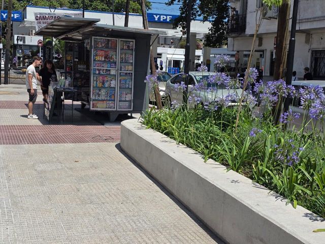 place photo 16