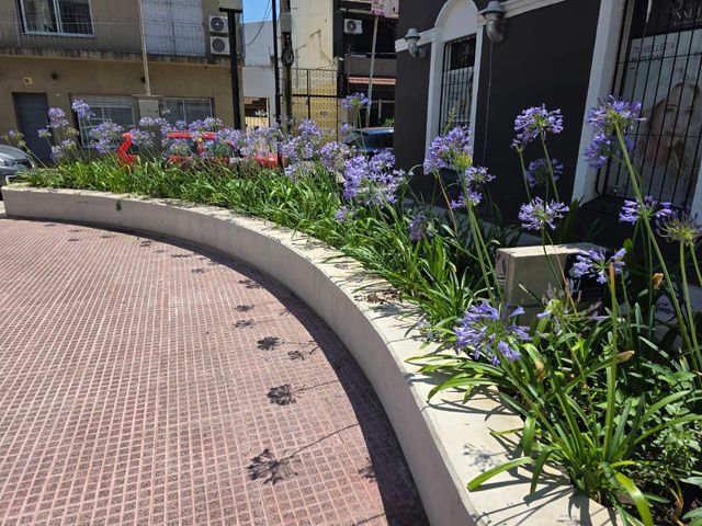 place photo 23