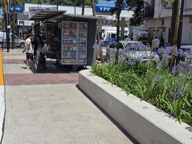 place photo 15