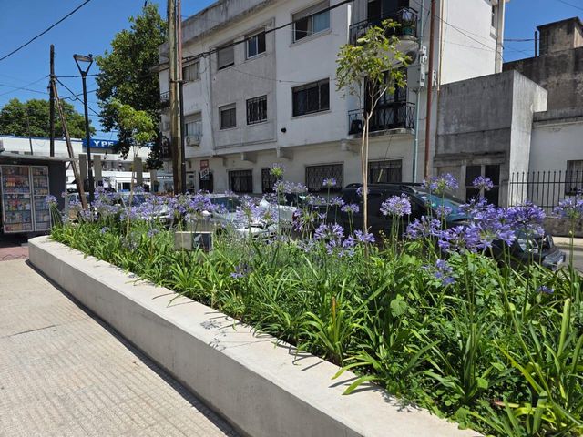 place photo 21