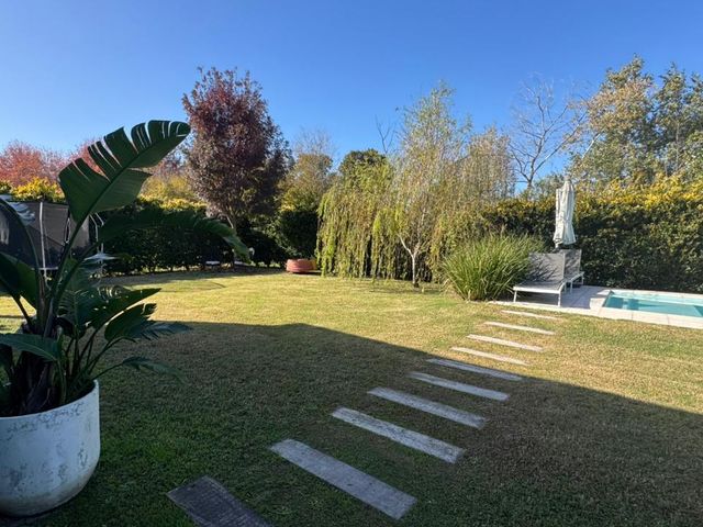 place photo 39