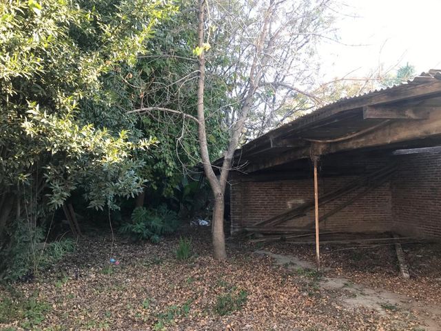 place photo 11