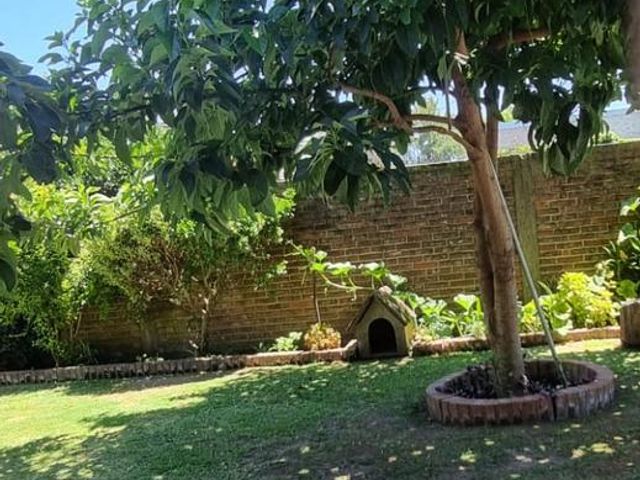 place photo 37