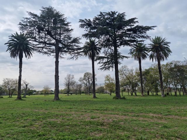 place photo 33