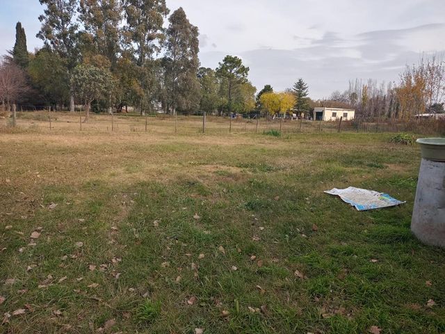 place photo 18