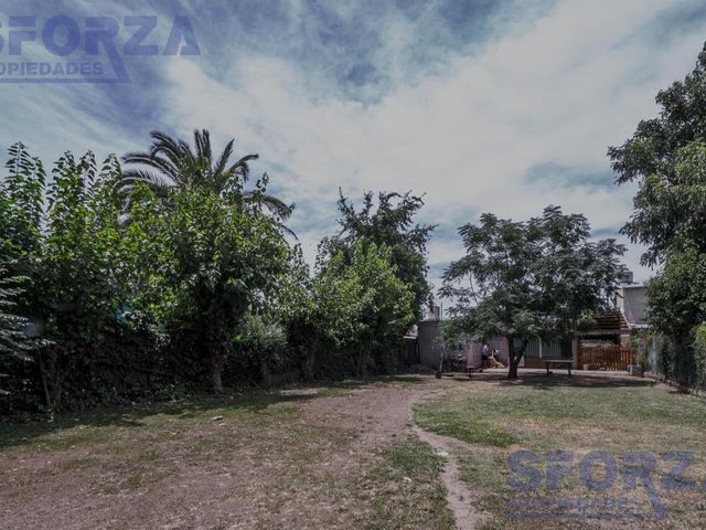 place photo 37