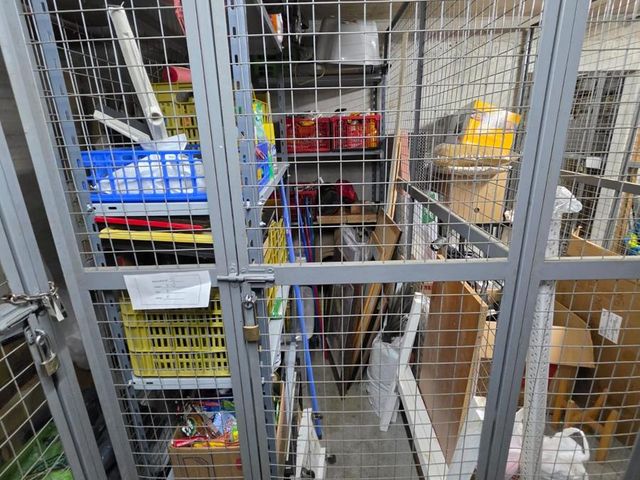 place photo 28