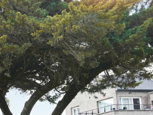 place photo 40