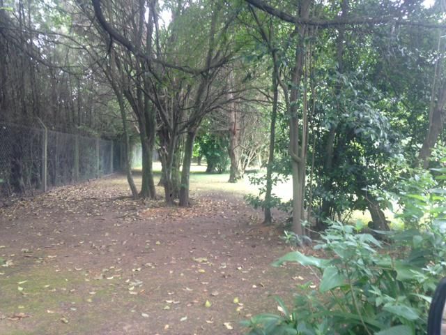 place photo 7