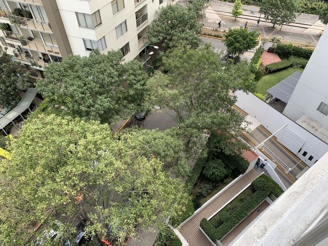 place photo 44