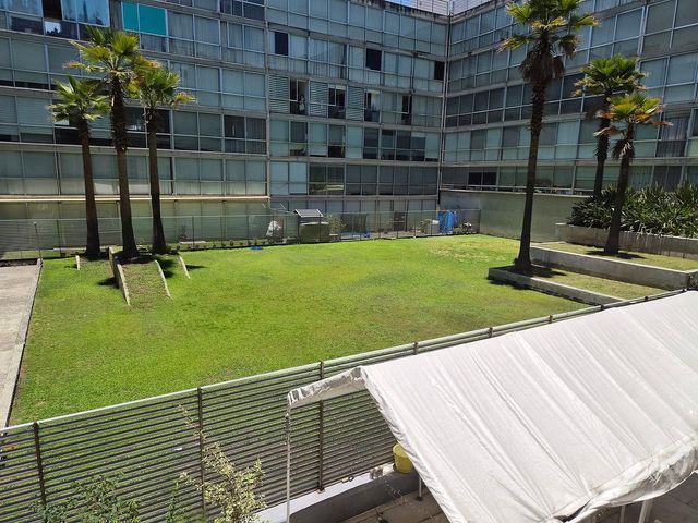 place photo 31