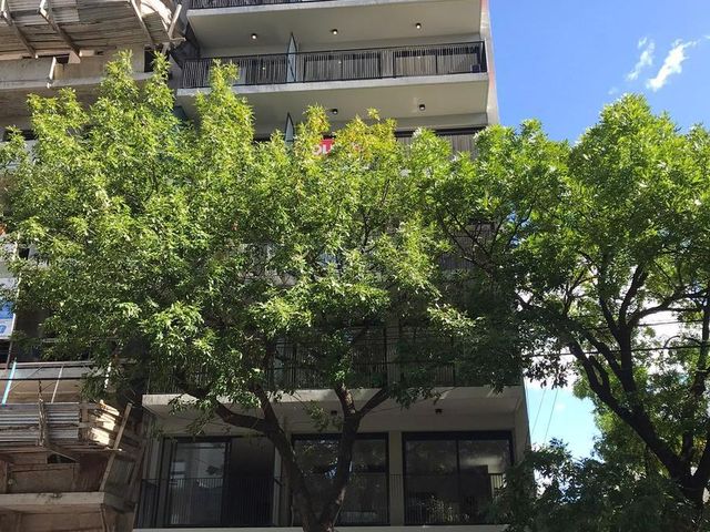 place photo 32